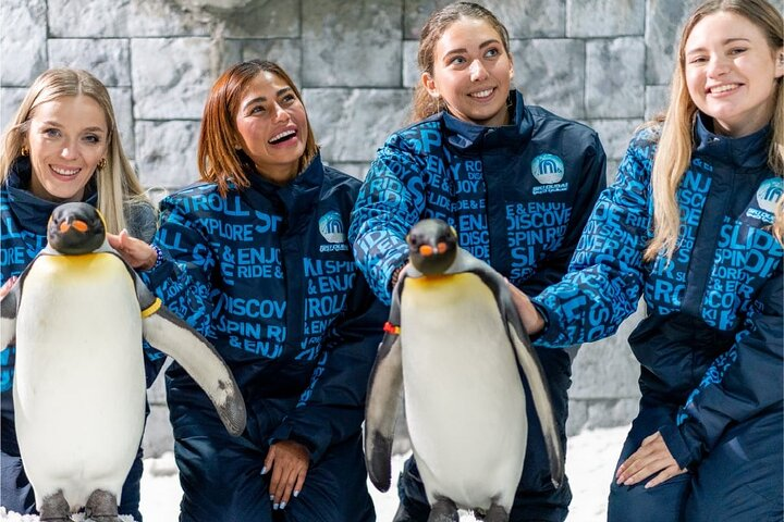 Experience the joy of snowy play with friendly penguins all while surrounded by a stunning winter landscape. Ski Dubai offers unforgettable fun for all ages in the heart of Dubai.